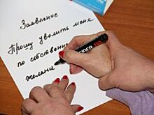 Уволилась директора горсада Пушкина в Челябинске