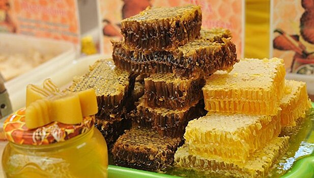 Закон "О пчеловодстве" в Московской области может быть принят в 2018 году