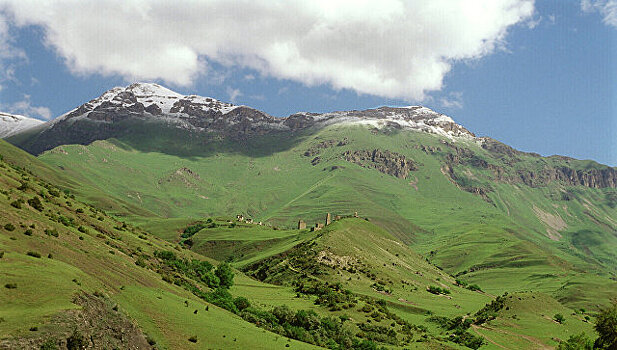 Налоговики Ингушетии выявили более 2,7 тысячи "безработных"