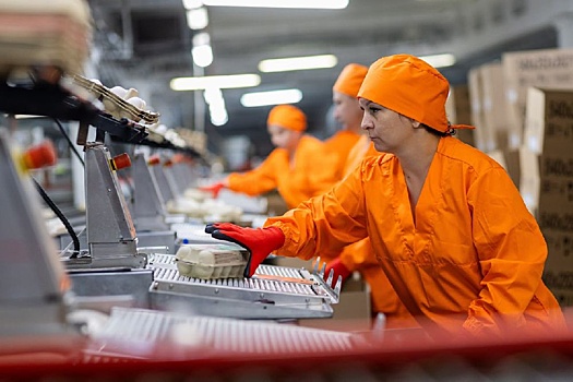 Крупнейший производитель яиц в Башкирии возобновил работу