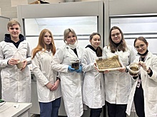 В Мордовии разработали метод ликвидации последствий разлива мазута в Черном море