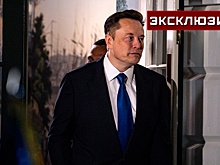 Американист: Маск понял, что спорить с главой государства «себе дороже»