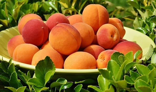 Как употребление абрикосов влияет на организм