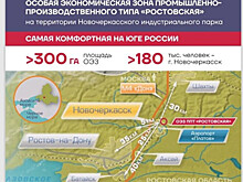 Налоговые льготы получат резиденты особой экономической зоны &laquo;Ростовская&raquo;