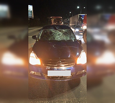 «Мы переживаем за лошадь»: ярославец, попавший в ДТП с животным, рассказал, как всё произошло