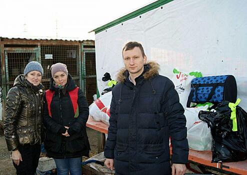 Более 200 кг корма для бездомных животных собрали в Некрасовке