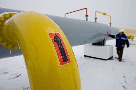 В Китае оценили вероятность отказа от российского газа