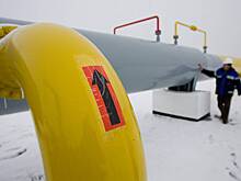 В Китае оценили вероятность отказа от российского газа