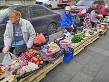 Бабуля, за базар ответишь? Чем опасна уличная торговля в Петербурге