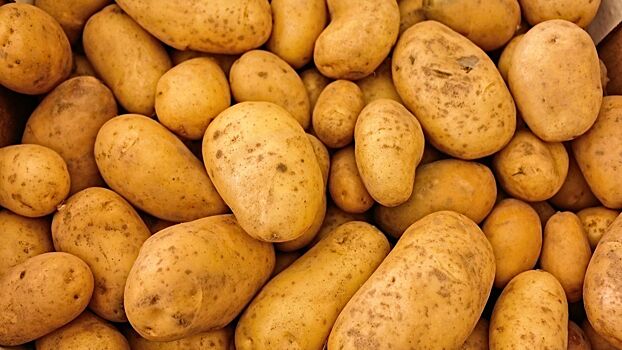 Диетолог рассказала, как правильно есть картофель