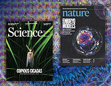 Что нового в Nature, Science и The Lancet. 24 октября