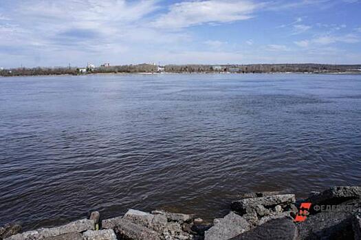 В Челябинске спецтехника скосит траву на дне реки Миасс