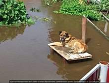 Наводнение в Забайкалье: пострадали не менее восьми тысяч человек