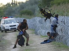 Учения по охране южных границ начались в Венгрии