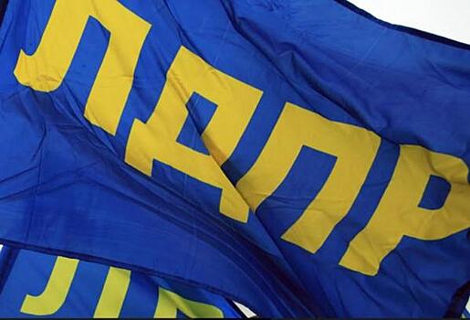 Судьбу омской ЛДПР решит депутат Госдумы