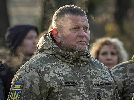 Украине предрекли проблемы со вступлением в Евросоюз и НАТО из-за Залужного