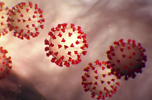 Ученые изъяли из вечной мерзлоты опасный для человека вирус