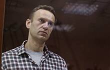Amnesty International отказалась считать Навального "узником совести"