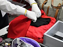 Минтранс планирует сократить время досмотра врачей и инвалидов в аэропортах