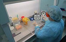 В Беломорской больнице двух сотрудников отстранили от работы из-за коронавируса