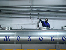 "Ъ": рост производства молока в России замедлился в текущем году до 2%