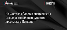 На Форуме «Ладога» специалисты создадут концепцию развития лесопарка в Волхове