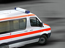 Арестован подозреваемый в убийстве аптекаря в Москве