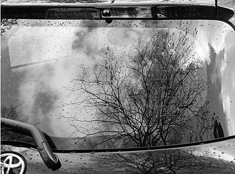 Toyota закрывает завод в Петербурге, но сохранит послепродажное обслуживание