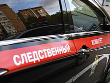 Российский криминалист отметил возросшую образованность у преступников