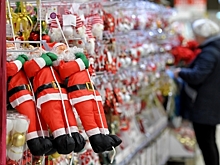 СМИ: Перед Новым годом россияне покупали сувениры с драконами и живых рептилий