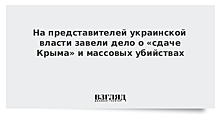 На представителей украинской власти завели дело о «сдаче Крыма» и массовых убийствах