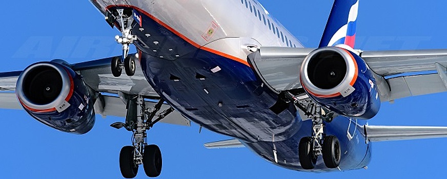 Объем перевозимой в РФ древесины за девять месяцев 2023 года вырос на четверть