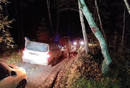 В лесу под Омском за один вечер потерялись три грибника