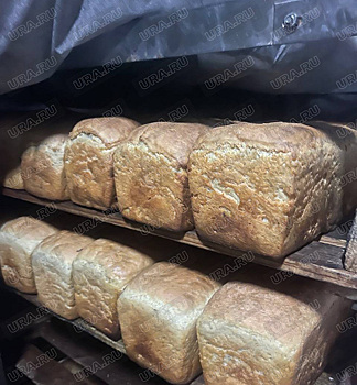 Екатеринбургские солдаты пекут хлеб в окопах на СВО