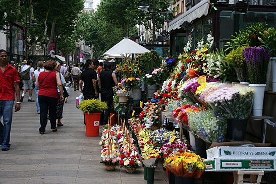 10 популярных мест в мире, где больше всего карманников