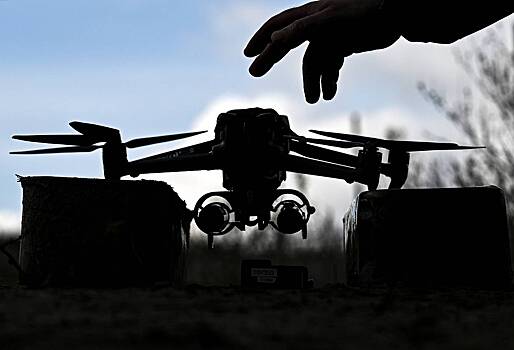 Летевший на российский город БПЛА застрял на дереве