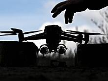 Летевший на российский город БПЛА застрял на дереве