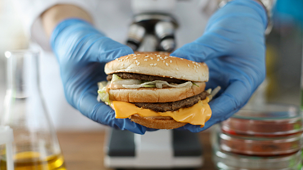Сверчки, кузнечики и бургеры из лаборатории могут стать привычной пищей через 30 лет