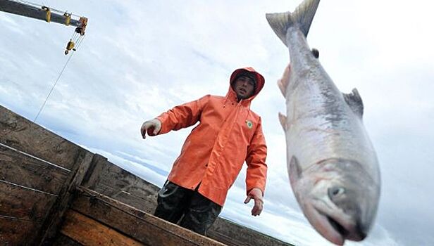 Разработан проект новых правил рыболовства на Дальнем Востоке