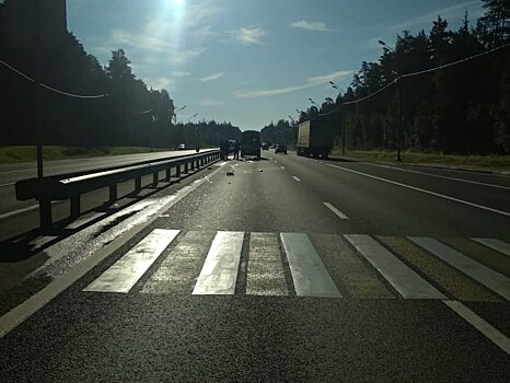 В Тверской области на М-10 ослеплённый водитель насмерть сбил пешехода