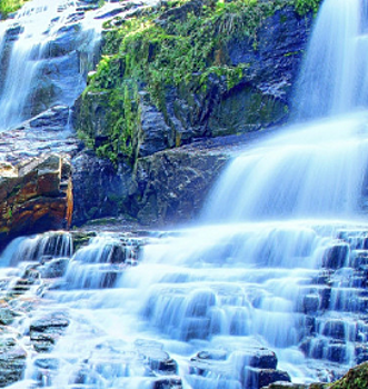 В Парке Галицкого открылась новая локация «Амфитеатр воды»