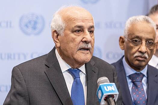 Палестина потребовала от Совбеза ООН «прекратить шизофрению»