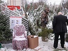 Подсчитаны новогодние траты россиян