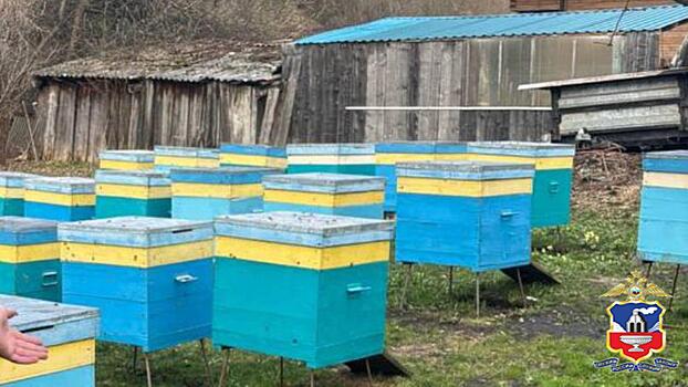 В Алтайском крае полицией раскрыта кража улья с пчёлами и сотами с пасеки в городе Белокурихе