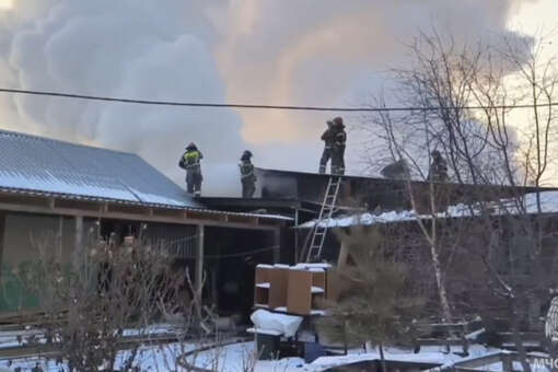 В Хакасии ликвидировали возгорание в приюте для животных «Каштанкин дом»