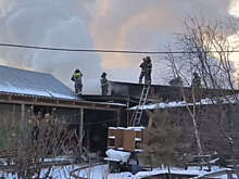 В Хакасии ликвидировали возгорание в приюте для животных "Каштанкин дом"