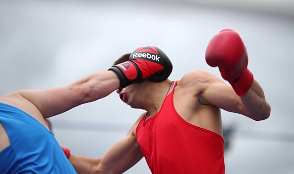 В Волгоградской области избран новый председатель федерации бокса