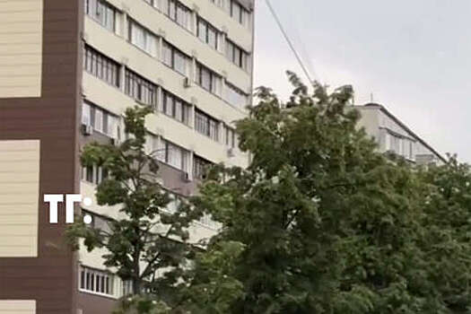В Подмосковье на видео попало, как мужчина на стрипах бегал по проезжей части