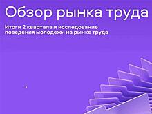 В помощь бизнесу: Авито запустил новый аналитический инструмент для продавцов