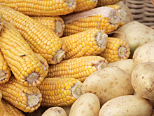 Диетолог посоветовала худеющим отказаться от кукурузы и картофеля